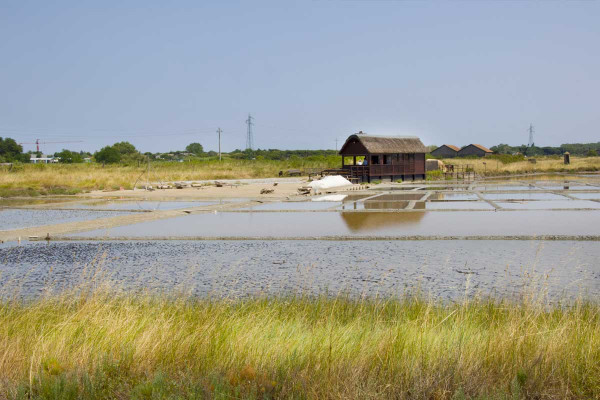 media.Gallery-Divertimento-03-Hotel-Sahara-Milano-Marittima